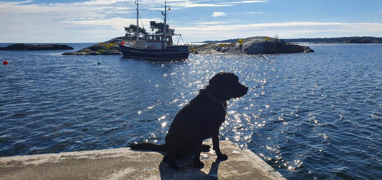 Moeja Stuga I Stockholms Skaergard Exterior foto